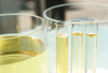 Photo for Tall Oil Fatty Acid Marketsize and Key Trends in terms of volume and value 2015-2021