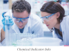 Photo for Chemical Indicator Inks Market 2016 Industry Growth, Demand , Price and Forecast to 2020