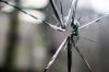 Photo for Fort Collins Glass Repair