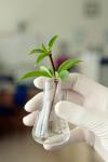 Photo for Global Agricultural Biotechnology Market 2016 Industry Size, Shares, Segment & Forecast up to 2020