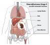 Photo for Neuroblastoma Treatment Market - Global Industry Perspective, Comprehensive Analysis and Forecast, 2015- 2021