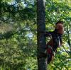Photo for Weymouth Tree Removal