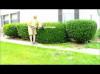 Photo for Hedge trimming services