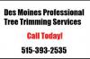 Photo for Des Moines Professional Tree Trimming Services