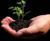 Photo for Agricultural Biotechnology Market: 2015 Industry Growth, Demand , Price and Forecast to 2021