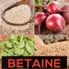 Photo for Betaine Market - Global Industry Perspective, Comprehensive Analysis and Forecast, 2015- 2021