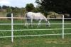 Photo for Electric fence for horses