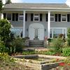 Photo for Colini Landscape Inc.