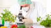 Photo for Global Food Safety Testing Market will Reach USD 8.04 Billion in 2021:Zion Market Research