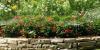Photo for Irrigation system installation