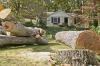 Photo for Pflugerville Tree Service and Removal