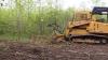 Photo for Landing clearing services