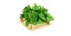 Photo for Flavors Market: 2015-2021,natural flavors were in great demand across the globe and rising demand towards heath concerns