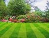 Photo for Lawn care companies