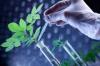 Photo for Global Agricultural Biotechnology Market Analysis, share, size 2021