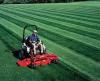 Photo for Lawn mowing companies