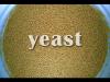 Photo for Yeast Market: grow at a CAGR of above 8.6 % between 2016 and 2021.