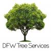 Photo for DFW Tree Services