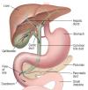Photo for Chronic Pancreatitis Pain Market - Global Industry Analysis, Size, Share, Growth, Trends and Forecast 2015 - 2021