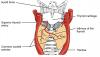 Photo for ​Thyroid Diagnostic Test - Medical Devices Market Overview, 2016