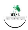 Photo for Miami Tree Service Experts
