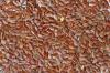 Photo for Flax Crop Market: high demand for flax seed expected across the globe during 2015-2020.
