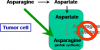 Photo for Protein Methylation Analysis