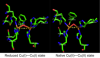 Photo for Peptidomics Service