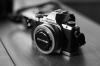 Photo for Lexington Professional Photographers