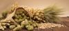 Photo for Malt Ingredients Market: Rising demand from food & beverage industry across the globe drives the market by 2015 - 2021
