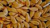 Photo for Fruit and Vegetable Seed Market: high production from seed and plant companies during 2016-2021.