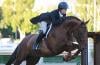 Photo for Horse training schools show stables in California