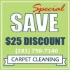 Photo for Carpet Steam Cleaning Houston TX