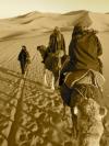 Photo for Sahara Desert Adventure Tours From Marrakech