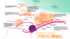 Photo for Global MicroRNA Tools Market is driven by its therapeutic and diagnostic potential
