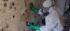 Photo for Mold removal services