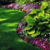 Photo for Popular Landscaping Companies