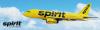 Photo for Spirit airlines booking number