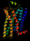 Photo for Rise in Cancer Research Benefits G-Protein Coupled Receptors Market; Global Market to Exhibit CAGR at Robust Pace