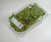 Photo for Bioplastic Packaging Market - Global Industry Analysis, Growth, Trends, Forecast 2024