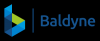 Photo for Baldyne Digital Marketing