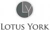 Photo for Lotus York
