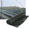 Photo for Mulch Film Market Expected to reach USD 4.2 Billion by 2021