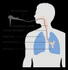 Photo for Bronchoscopy Devices Industry Research, Growth & Forecast