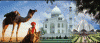 Photo for Exploring Destinations in Golden Triangle Tour