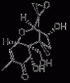 Photo for Deoxynivalenol