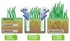 Photo for Tips for Your Lawn Aeration