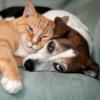 Photo for Rent Equip