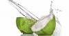 Photo for Reasons why coconut is important