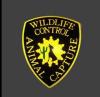Photo for Animal Capture Wildlife Control